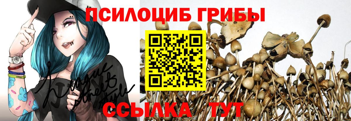 Реж  Псилоцибиновые грибы GOLDEN TEACHER  Вход с VPN 